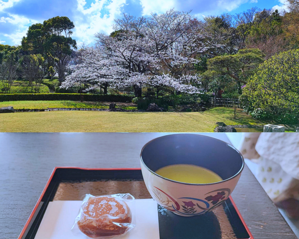 柏の葉公園【茶室から望む庭園】