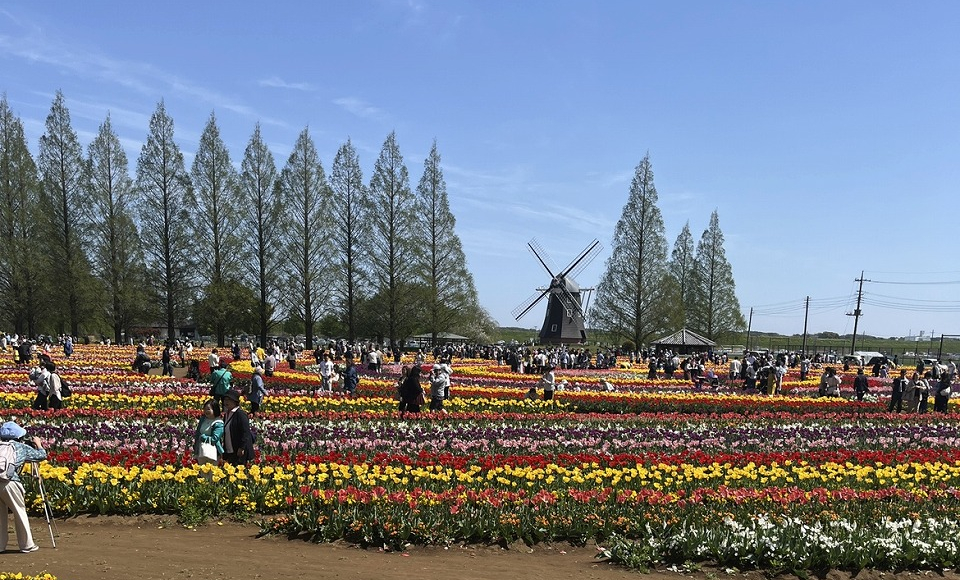 あけぼの山公園